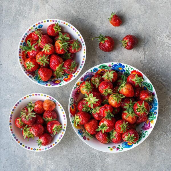 Folk Art Bowl 380 mL product image 3