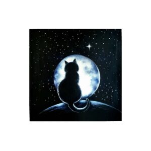 Magnet showing a black cat sitting on a hill under a starry sky, looking at a glowing full moon.